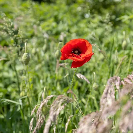 Reethus 22 Loft 5 * Timmendorfer Strand